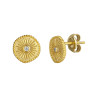PENDIENTES OJO
