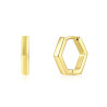 PENDIENES PENTAGONO