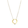 Collar-plata-acabado-oro-Enigma-plata