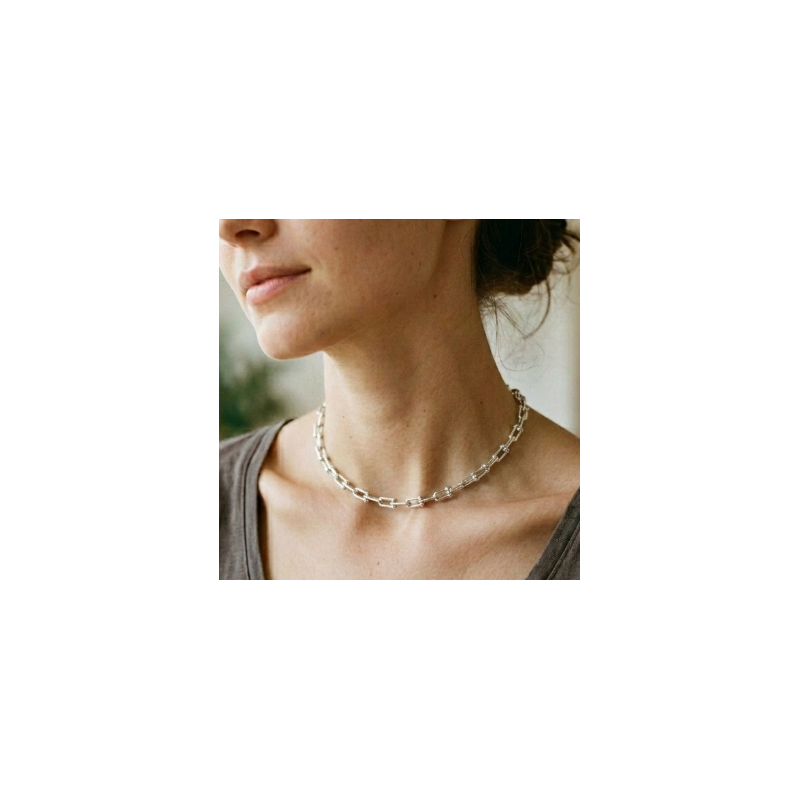 Collar-eslabones-estribos-imagen-modelo-Enigma-plata